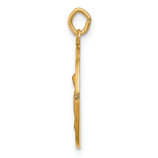 14K Yellow Gold Saint Anne Medal Charm XAC228