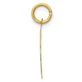 14k Yellow Gold YOU ARE ALWAYS IN MY HEART Disc Charm