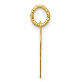 14k Yellow Gold Special Sister Charm XAC642