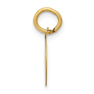 14k Yellow Gold Holy Communion Charm XAC710
