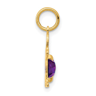 14k Yellow Gold Boy 6x4 Oval Genuine Amethyst-February Pendant