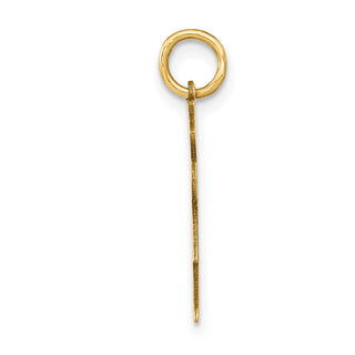 14k Yellow Gold Girl w/Heart Charm XK1148Y