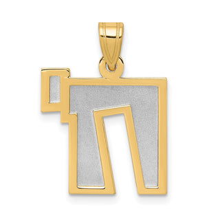 14k Yellow and White Gold Solid Satin Chai Pendant XK674