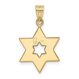 14k Yellow and White Gold Star Of David Pendant XK687