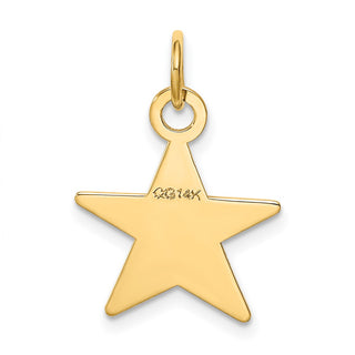 14k Yellow Gold Star Disc Charm XM542/13