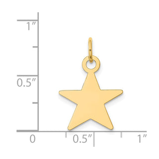 14k Yellow Gold Star Disc Charm XM542/13