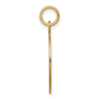 14k Yellow Gold w/Enamel .027 Gauge Circular Engravable Disc Charm XM612