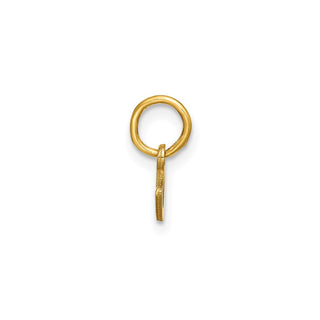 14k Yellow Gold Lower Case Letter C Initial Charm XNA1307Y/C
