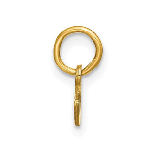 14k Yellow Gold Lower Case Letter C Initial Charm XNA1307Y/C