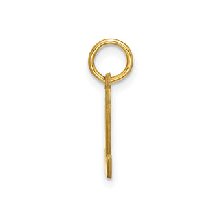 14k Yellow Gold Lower Case Letter D Initial Charm XNA1307Y/D