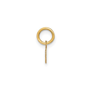 14k Yellow Gold Lower Case Letter M Initial Charm XNA1307Y/M