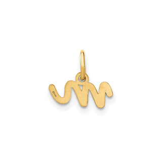 14k Yellow Gold Lower Case Letter M Initial Charm XNA1307Y/M