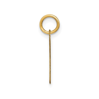 14k Yellow Gold Lower Case Letter P Initial Charm XNA1307Y/P