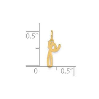 14k Yellow Gold Lower Case Letter P Initial Charm XNA1307Y/P