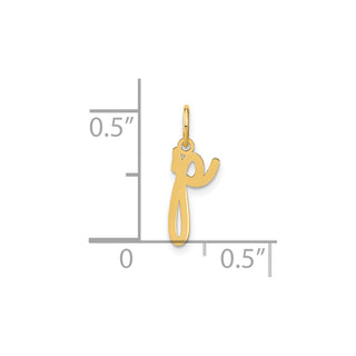 14k Yellow Gold Lower Case Letter P Initial Charm XNA1307Y/P