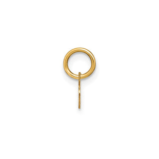 14k Yellow Gold Lower Case Letter R Initial Charm XNA1307Y/R