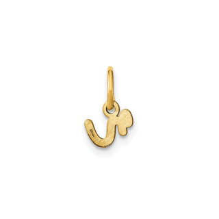 14k Yellow Gold Lower Case Letter R Initial Charm XNA1307Y/R