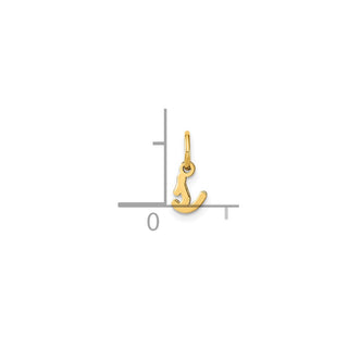 14k Yellow Gold Lower Case Letter S Initial Charm XNA1307Y/S