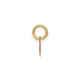 14k Yellow Gold Lower Case Letter V Initial Charm XNA1307Y/V