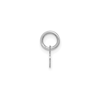 14k White Gold Lower Case Letter R Initial Charm