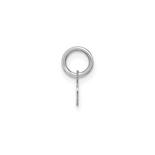 14k White Gold Lower Case Letter R Initial Charm