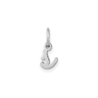 14k White Gold Lower Case Letter S Initial Charm