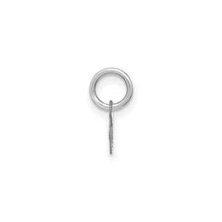 14k White Gold Lower Case Letter V Initial Charm