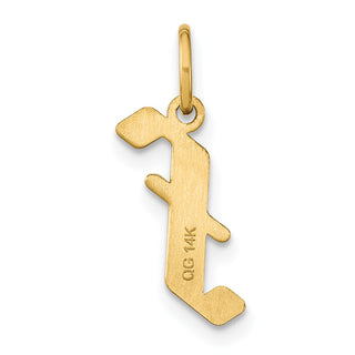 14k Yellow Gold Letter F Initial Charm XNA1335Y/F