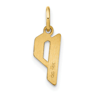 14k Yellow Gold Letter P Initial Charm XNA1335Y/P