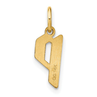 14k Yellow Gold Letter P Initial Charm XNA1335Y/P