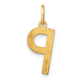 14k Yellow Gold Letter P Initial Charm XNA1336Y/P