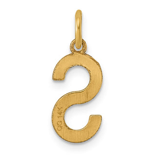 14k Yellow Gold Letter S Initial Charm XNA1336Y/S