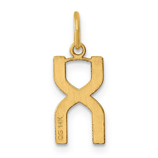 14k Yellow Gold Letter X Initial Charm XNA1336Y/X