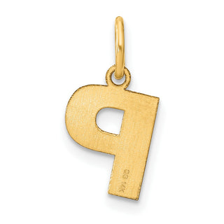 14k Yellow Gold Letter P Initial Charm XNA1337Y/P