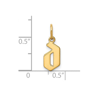 14k Yellow Gold Lower Case Letter D Initial Charm XNA1383Y/D