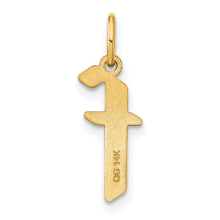 14k Yellow Gold Lowercase Letter F Initial Charm XNA1383Y/F