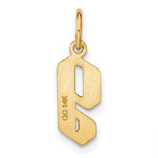 14k Yellow Gold Lowercase Letter G Initial Charm XNA1383Y/G