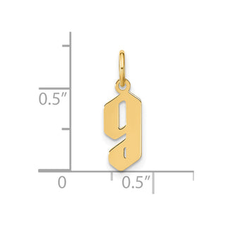 14k Yellow Gold Lowercase Letter G Initial Charm XNA1383Y/G