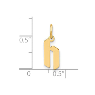 14k Yellow Gold Lowercase Letter H Initial Charm XNA1383Y/H