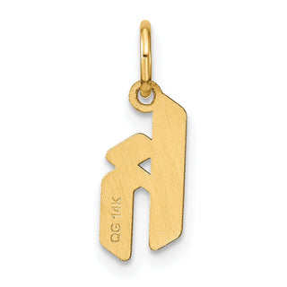 14k Yellow Gold Lowercase Letter K Initial Charm XNA1383Y/K