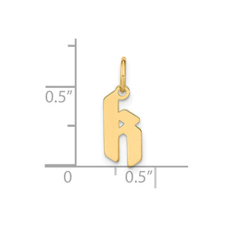14k Yellow Gold Lowercase Letter K Initial Charm XNA1383Y/K