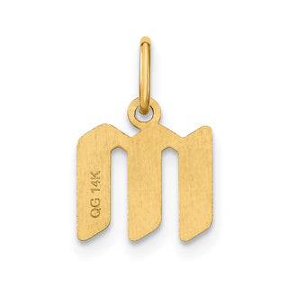 14k Yellow Gold Lowercase Letter M Initial Charm XNA1383Y/M