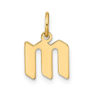 14k Yellow Gold Lowercase Letter M Initial Charm XNA1383Y/M
