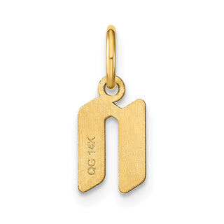 14k Yellow Gold Lowercase Letter N Initial Charm XNA1383Y/N