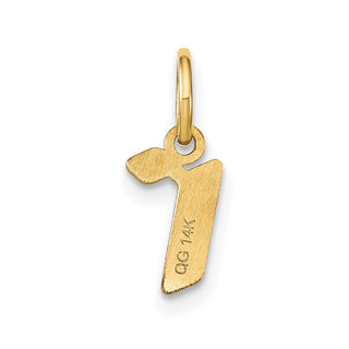 14k Yellow Gold Lowercase Letter R Initial Charm XNA1383Y/R