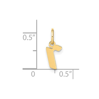 14k Yellow Gold Lowercase Letter R Initial Charm XNA1383Y/R