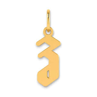 14k Yellow Gold Lowercase Letter Z Initial Charm XNA1383Y/Z