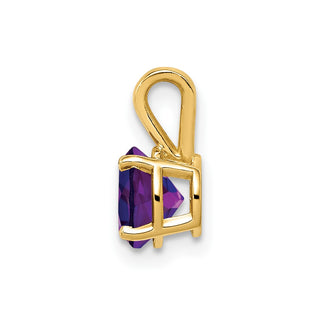 14k Yellow Gold Amethyst Pendant XP416AM