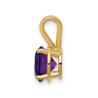 14k Yellow Gold Amethyst Pendant XP417AM