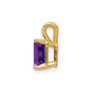 14k Yellow Gold Amethyst Pendant XP419AM